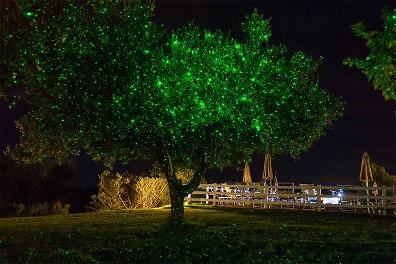 Projection laser lumière verte sur un arbre feuillu à l'occasion d'une fête