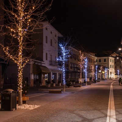 Guirnalda de luces LED que adornar los &aacute;rboles de la calle en Navidad