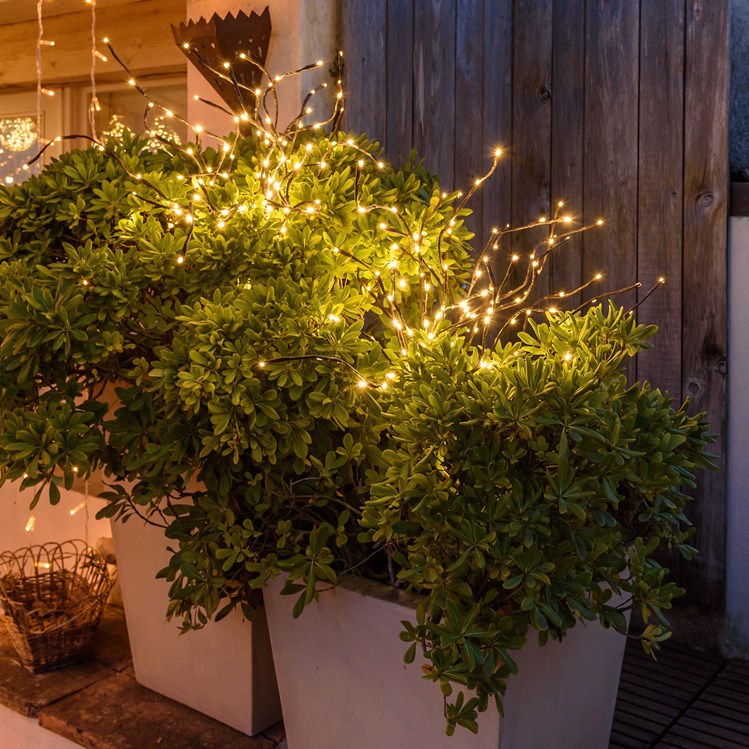 Plante de terrasse décorée avec une branche lumineuse à led marron