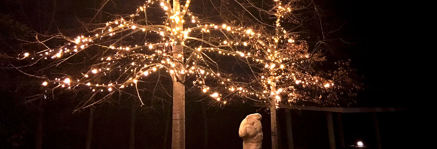 Cómo decorar las ramas de un árbol con luces | Luminal Park