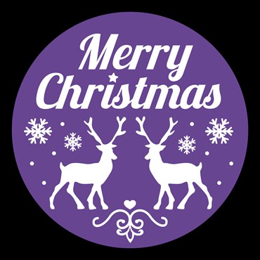 Gobo Merry Christmas avec Rennes et Flocons pour projecteurs professionnels, Ø37-23 mm, Blanc et violet
