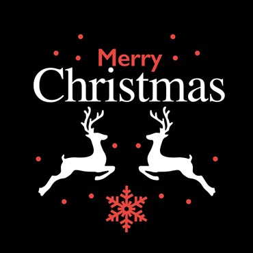 Gobo Merry Christmas con renne e cristallo per proiettori professionali, Ø37-23, Bianco e rosso