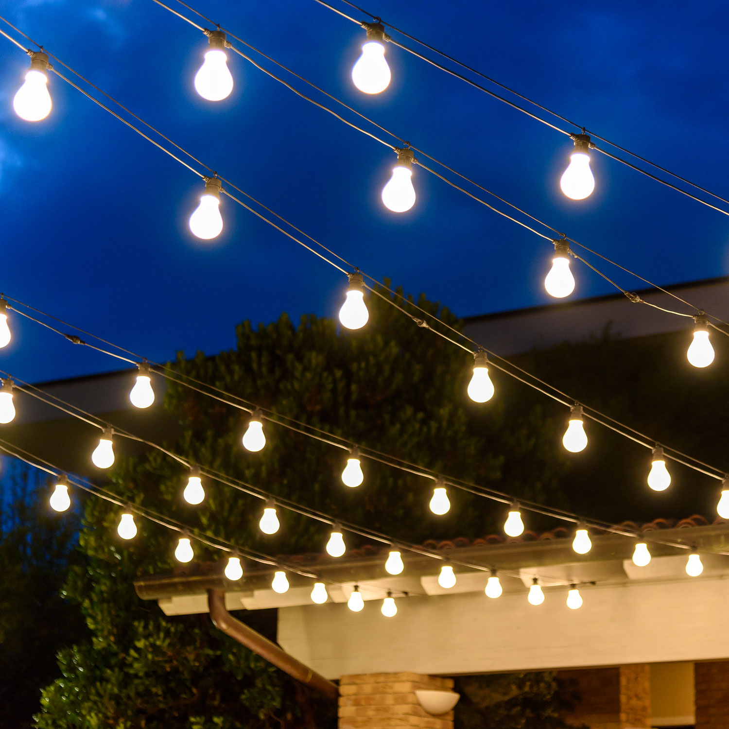 white festoon lights