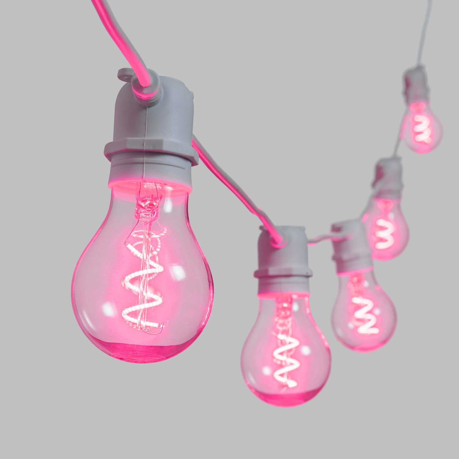 pink festoon lights