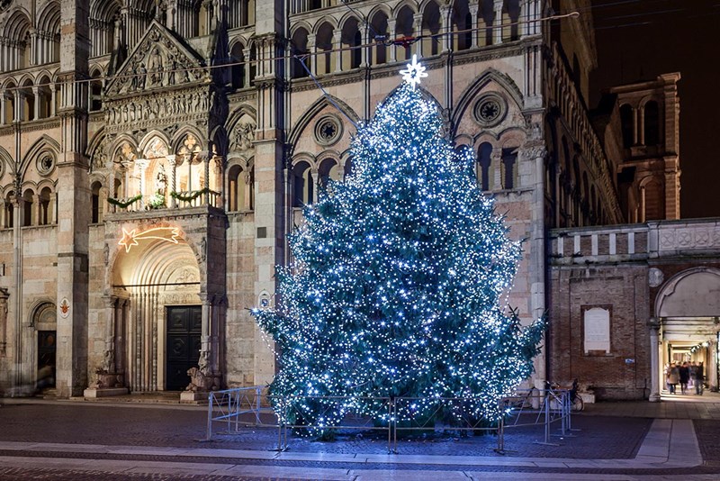 Weihnachtsbeleuchtung 2022 Riesen-Weihnachtsbaum mit Lichterketten beleuchtet