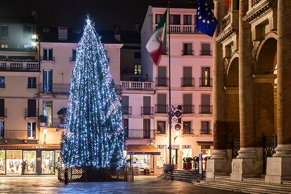 Weihnachtsbeleuchtung 2022 Großer Baum mit Kaskaden-Lichterketten beleuchtet